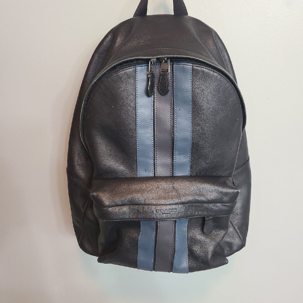 Men's coach backpack